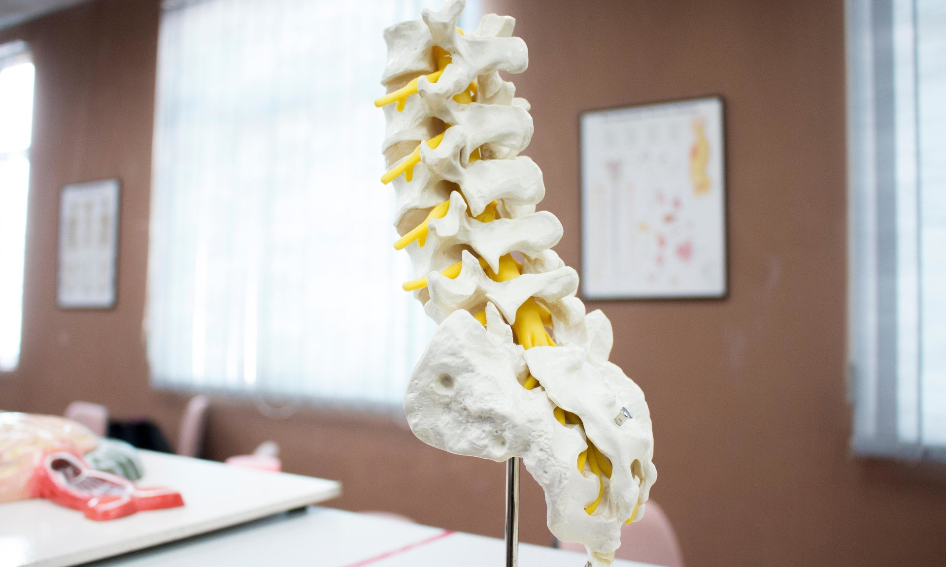 Израильские ученые создали излечивающие паралич импланты для спинного мозга