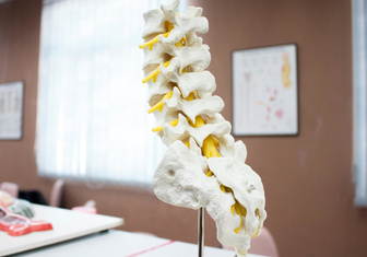 Израильские ученые создали излечивающие паралич импланты для спинного мозга