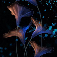 Аватарка Эля