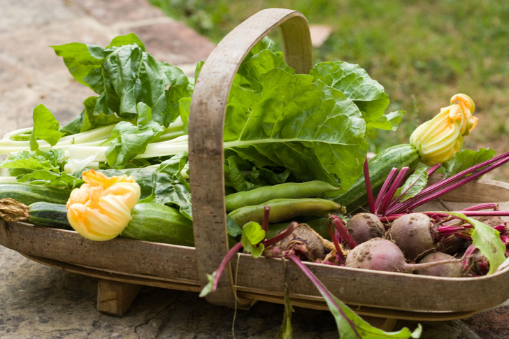 Зачем зажевывать стресс шпинатом и еще 5 фактов об этом овоще, которых вы не знали