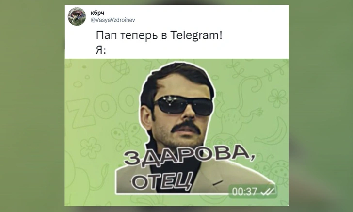 Лучшие шутки и мемы про неожиданные контакты теперь в Telegram | maximonline.ru