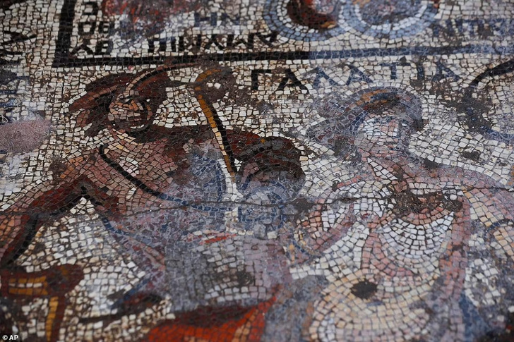 Ахилл против амазонок: посмотрите на древнюю мозаику, которую нашли при раскопках в Сирии