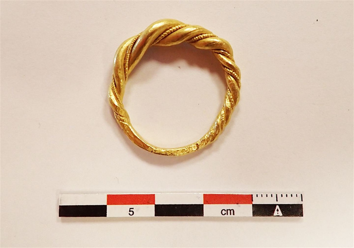 «Одно, чтоб править всеми»: норвежка нашла золотое кольцо предводителя викингов в коробке из-под бананов