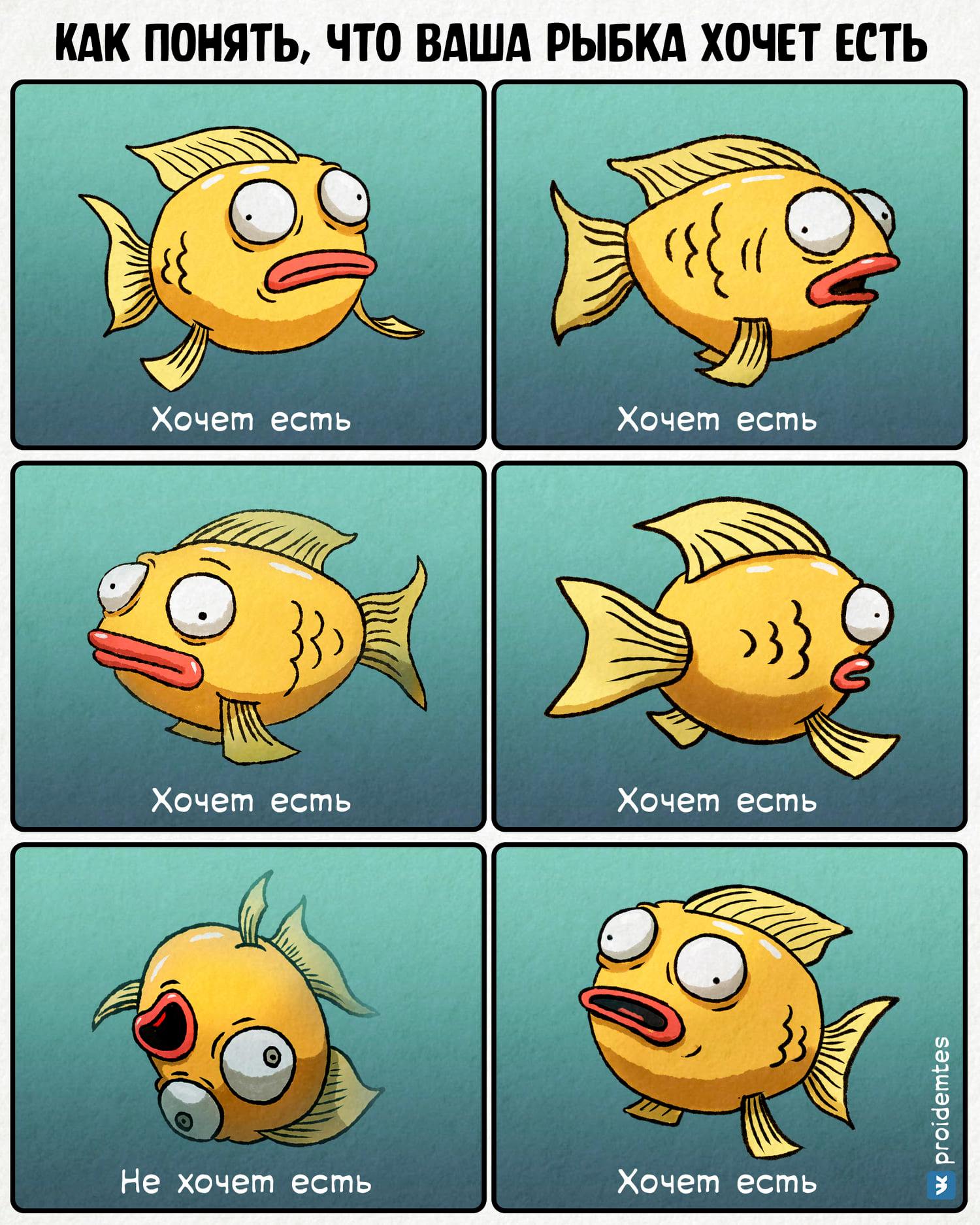 Комиксы про рыб