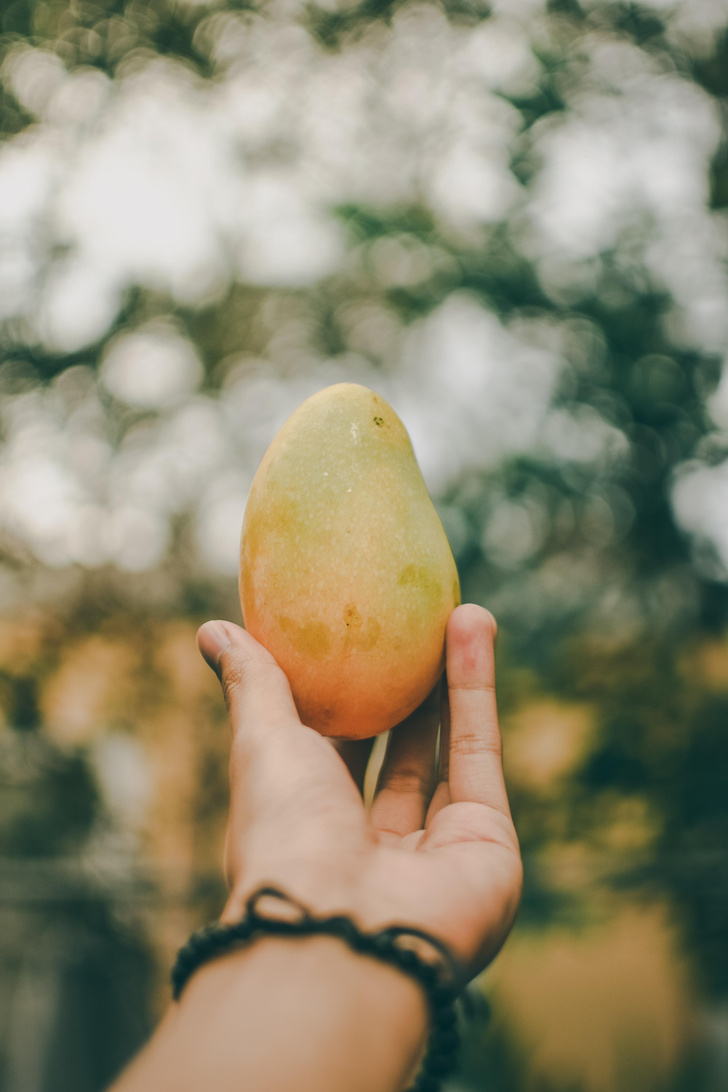Как посадить и вырастить манго в домашних условиях: шаг за шагом
