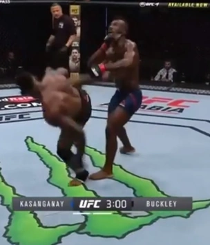 Нокаут, который уже назвали величайшим в истории UFC (видео)