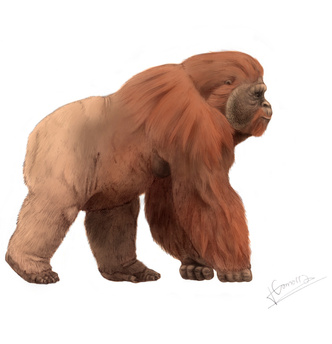 Гигантопитек (Gigantopithecus)