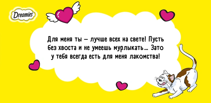 Получи валентинку от котика! Самый замечательный способ отметить День влюбленных