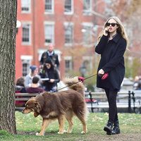 Amanda Seyfried Аманда Сейфрид