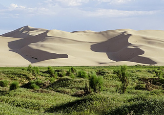 Автопробег по Монголии: открытый простор пустыни Гоби
