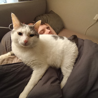 Аватарка s4sha