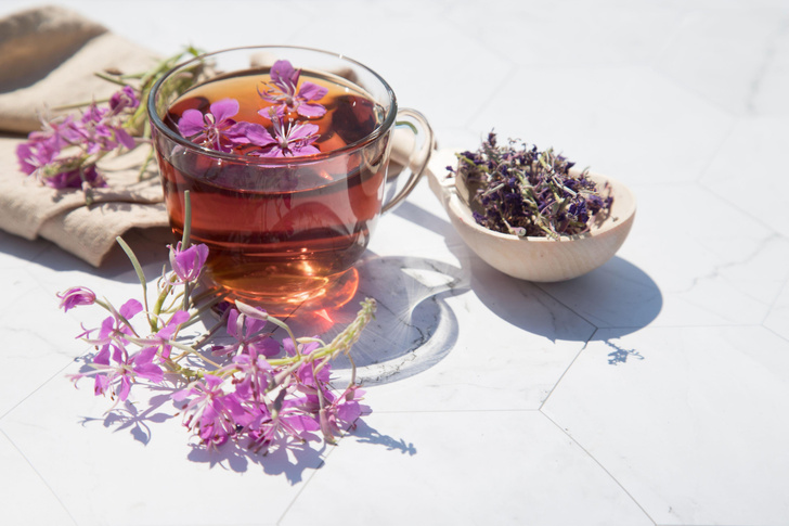 Крестьянское успокоительное: что мы знаем про иван-чай и почему стоит его попробовать