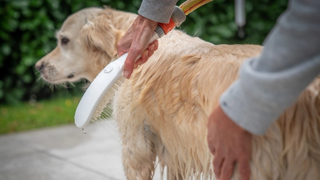 DogShower: первый ручной душ для собак от Hansgrohe