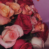 Аватарка L1sa