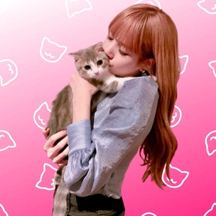 Cat lover: у Лисы из BLACKPINK появился пятый котик 😺