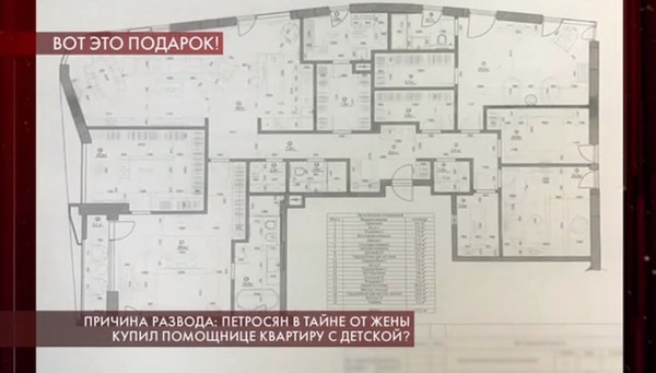 План квартиры, которая, по слухам, принадлежит новой жене Петросяна
