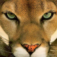 Аватарка Тася