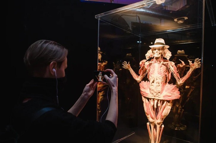 «Такой анатомии не надо бояться, ее надо знать»: посетители высоко оценили выставку Body Worlds