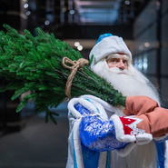 Тест: Выберите подарок от Деда Мороза и узнайте факт о вашем характере