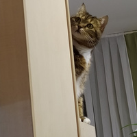 Аватарка Маленькое чудо)