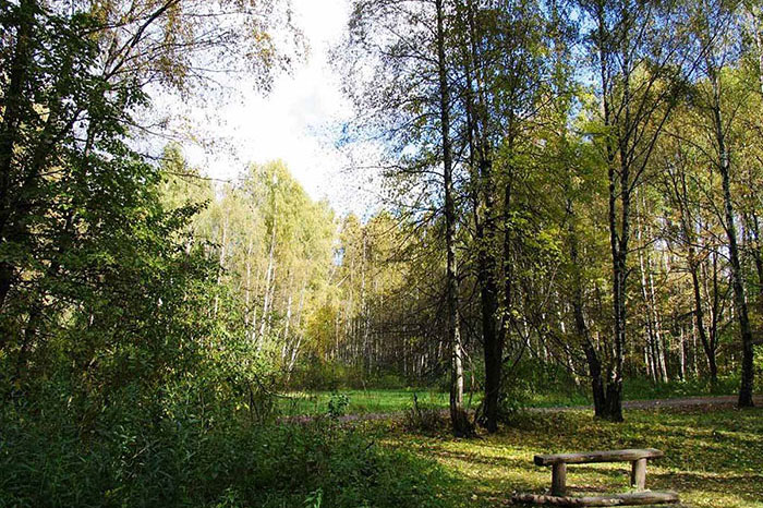 13 лучших парков Москвы для семейного отдыха