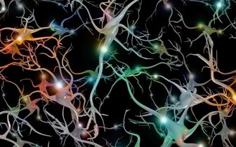 Ученые из Франции создали синтетические клетки мозга, которые хранят воспоминания