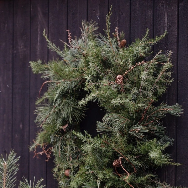 Источник: @_garaget