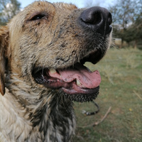 Аватарка николай гунькин