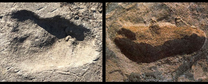 Найдены следы неизвестного предка человека