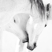 Аватарка Nastas