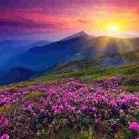 Аватарка Солнышко