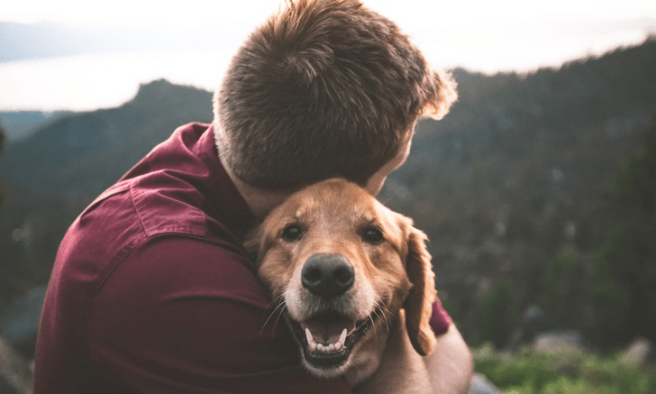 Японские ученые доказали, что собаки умеют плакать от радости 🤯