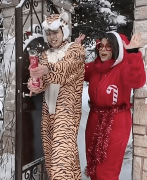 В костюме тигра и с новым парнем: как звезды встретили новый год