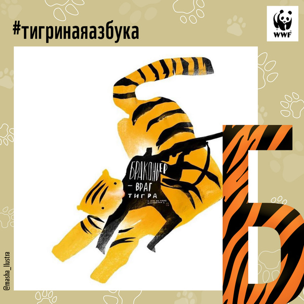 Фото №2 - Тигры от А до Я: WWF России и Woman.ru выпустили карточки об амурском тигре