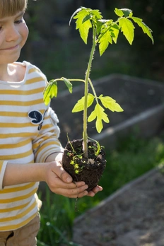 Тищенко Иван, 6 лет, г. Москва