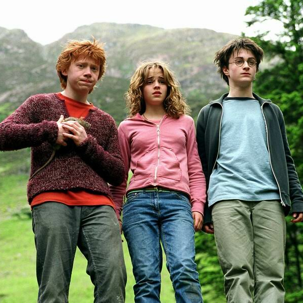 Типы личности по Майерсу-Бриггсу: кто ты из «Гарри Поттера»