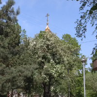 Аватарка Вера