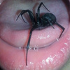 userpic__liubov
