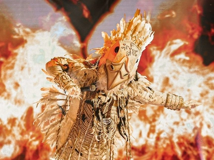 Голубцы для Носорога и кислородный баллон для Неваляшки: капризы и страхи звезд на шоу «Маска»