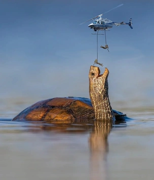 Фотожабы недели и тигр-ягодка