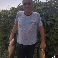 Аватарка кисуля лизуня☺️
