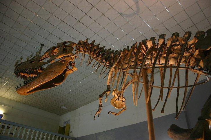 Смесь тираннозавра, косатки и варана: как жил талассотитан, жестокий исполин Мелового периода