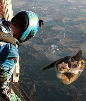Лучшие фотожабы ноября