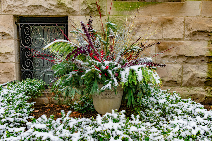 На зависть соседям: 6 подсказок, как сделать зимний сад оригинальным и уютным