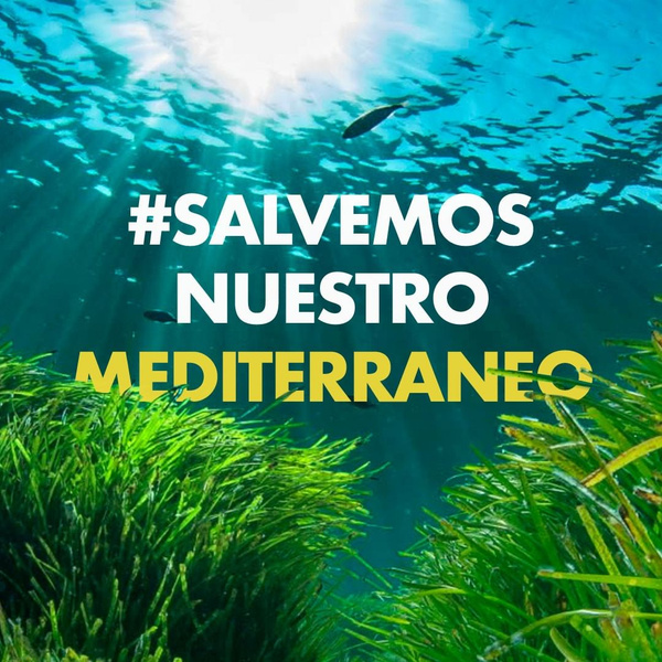 9 футболок, которые помогут сохранить экосистему Средиземноморья