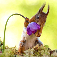 Аватарка Лана