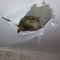 Аватарка kazlina