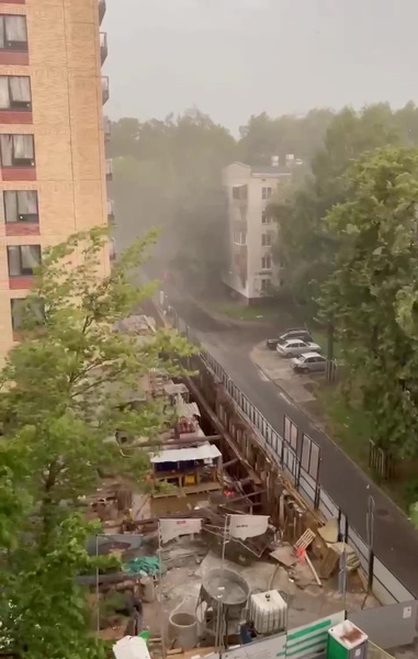 В Москве бушует сильный ураган: один человек погиб, а грудничка придавило дерево