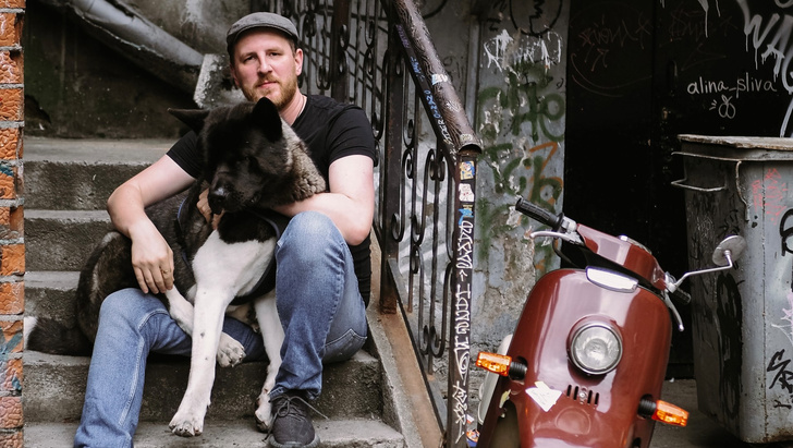 Домашние животные: какие породы больших собак подходят для городской  квартиры | myDecor