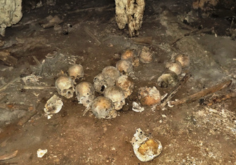 Кости напоказ: в Мексике нашли 150 беззубых черепов, оставшихся от жуткого обряда цомпантли